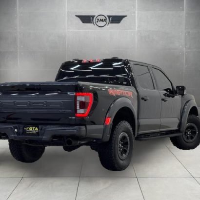 Ford F-Series Pickup Raptor 2022 (3)