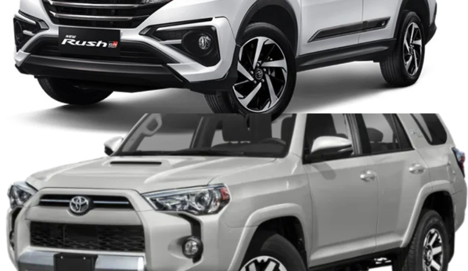 Best Auto Export Dubai in Hadaeq Sheikh Mohammed Bin Rashid Dubai